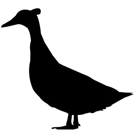 Duck Silhouette Vector Graphicsのイラスト素材