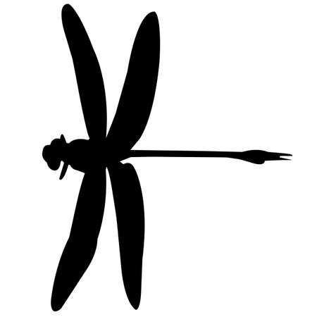 Dragon fly Silhouette Vector Graphicsのイラスト素材