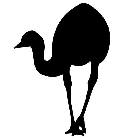 Emu Silhouette Vector Graphicsのイラスト素材
