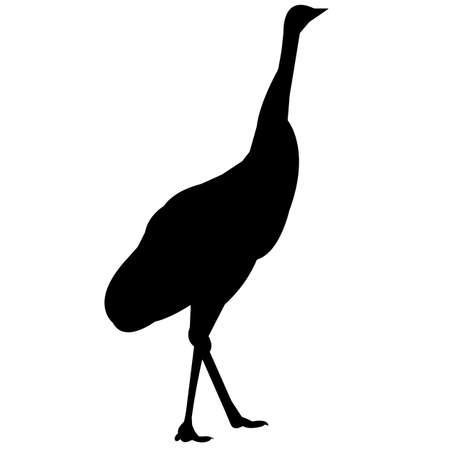 Emu Silhouette Vector Graphicsのイラスト素材