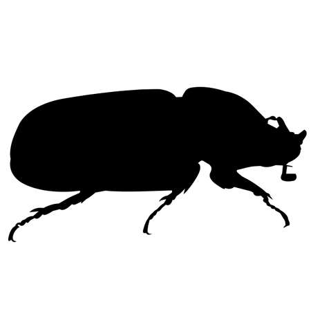 Dung beetle Silhouette Vector Graphicsのイラスト素材