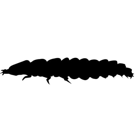 Firefly Silhouette Vector Graphicsのイラスト素材