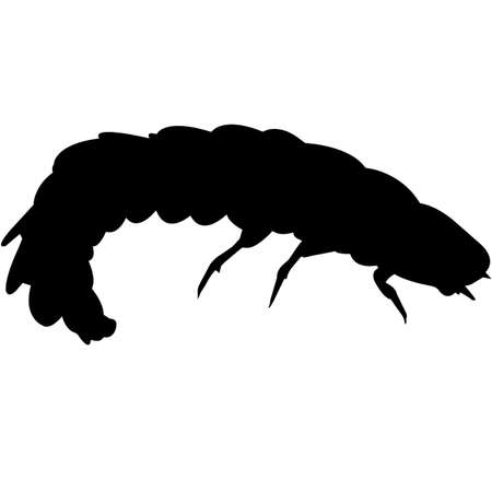 Firefly Silhouette Vector Graphicsのイラスト素材