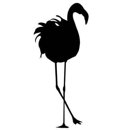 Flamingo Silhouette Vector Graphicsのイラスト素材