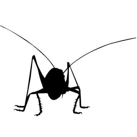 Grasshopper Silhouette Vector Graphicsのイラスト素材
