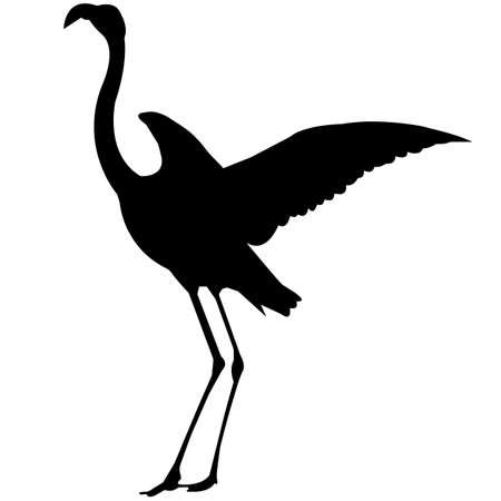 Flamingo Silhouette Vector Graphicsのイラスト素材
