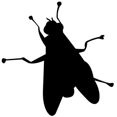 Fly Silhouette Vector Graphicsのイラスト素材