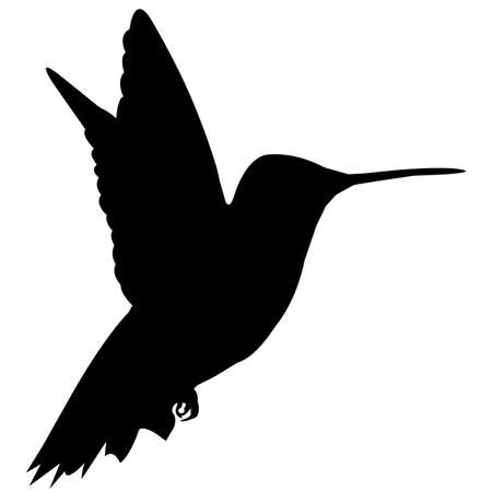 Humming bird Silhouette Vector Graphicsのイラスト素材