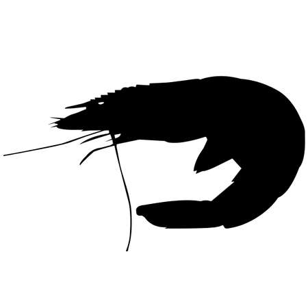 Krill Silhouette Vector Graphicsのイラスト素材