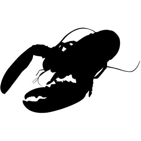 Lobster Silhouette Vector Graphicsのイラスト素材