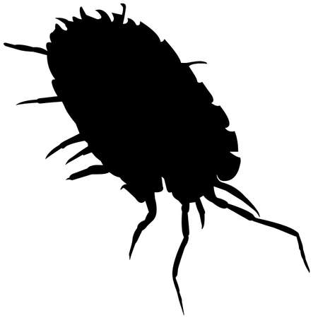Louse Silhouette Vector Graphicsのイラスト素材