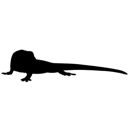 Lizard Silhouette Vector Graphicsのイラスト素材