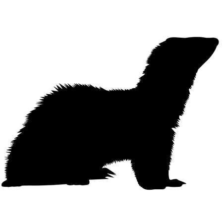 Mongoose Silhouette Vector Graphicsのイラスト素材