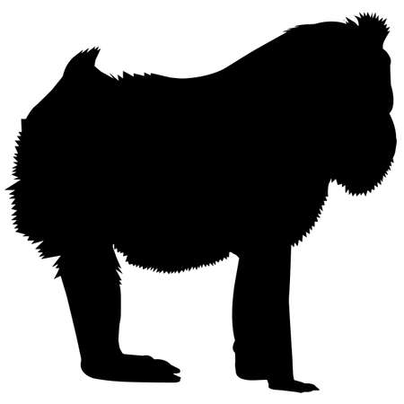 Mandrill Silhouette Vector Graphicsのイラスト素材