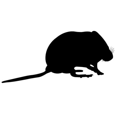 Mouse Silhouette Vector Graphicsのイラスト素材