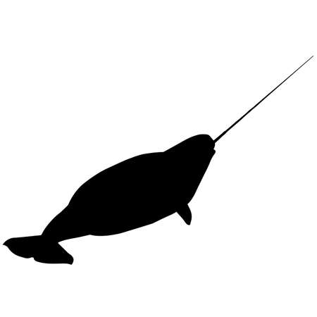 Narwhal Silhouette Vector Graphicsのイラスト素材