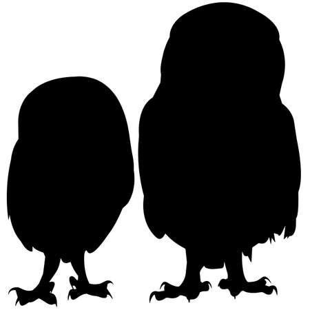 Owl Silhouette Vector Graphicsのイラスト素材