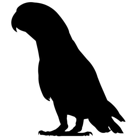 Parakeet Silhouette Vector Graphicsのイラスト素材