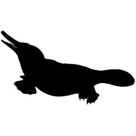 Platypus Silhouette Vector Graphicsのイラスト素材