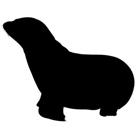 Pinniped Silhouette Vector Graphicsのイラスト素材