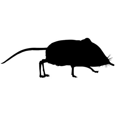 Shrew Silhouette Vector Graphicsのイラスト素材