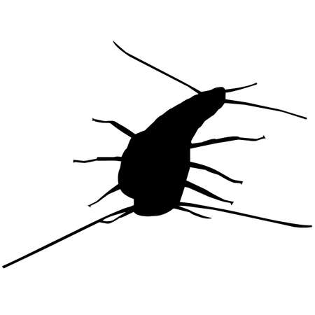 Silver fish Silhouette Vector Graphicsのイラスト素材