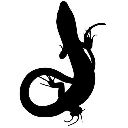 Skink Silhouette Vector Graphicsのイラスト素材
