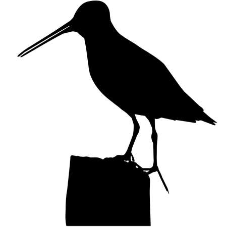Snipe Silhouette Vector Graphicsのイラスト素材 [40157929520] - イメージマート