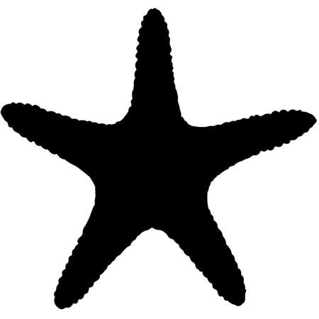 Star fish Silhouette Vector Graphicsのイラスト素材