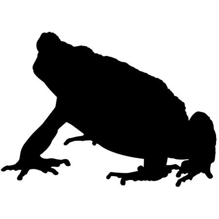 Toad Silhouette Vector Graphicsのイラスト素材
