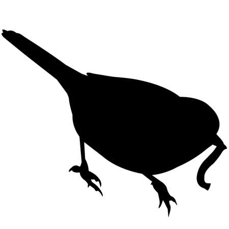 Warbler Silhouette Vector Graphicsのイラスト素材