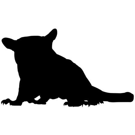 Sugar Glider Silhouette Vector Graphicsのイラスト素材