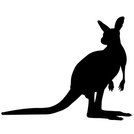 Wallaby Silhouette Vector Graphicsのイラスト素材
