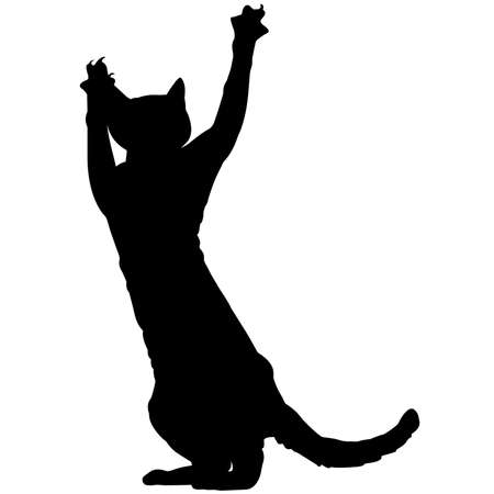 Devon Rex Cat Silhouette Vector Graphicsのイラスト素材