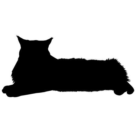 Maine Coon Cat Silhouette Vector Graphicsのイラスト素材