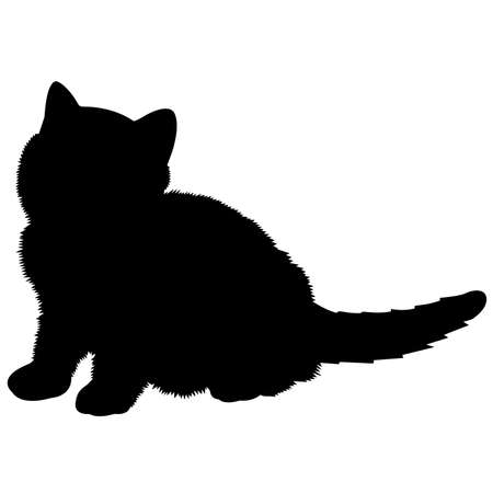 Exotic Shorthair Cat Silhouette Vector Graphicsのイラスト素材