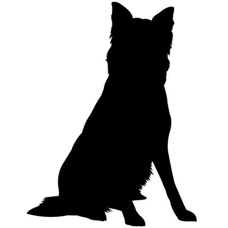 Border Collie Dog Silhouette Vector Graphicsのイラスト素材