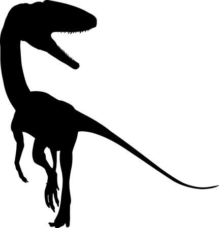 Coelophysis 8 isolated vector silhouetteのイラスト素材