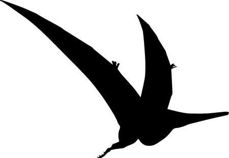 プテラノドンの写真 イラスト素材一覧 1 020件 ストックフォトのamanaimages Plus