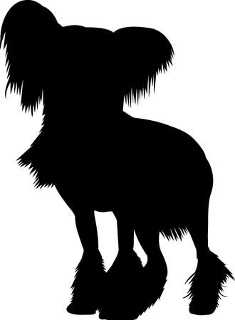 Chinese Crested Dog 7 isolated vector silhouetteのイラスト素材