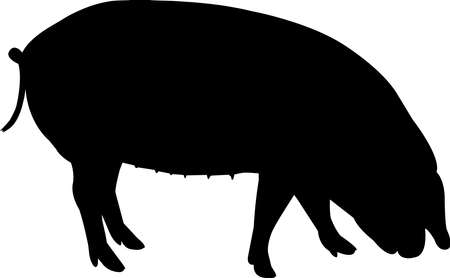 Large Black Pig Vector Silhouetteのイラスト素材
