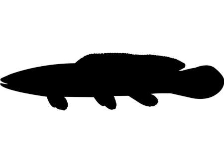 Bowfin Fish Silhouette Vectorのイラスト素材