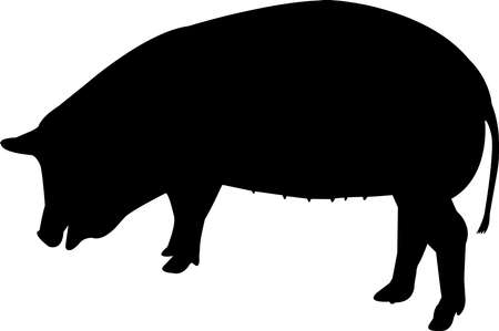 ブタの貯金箱の写真 イラスト素材一覧 105 9件 ストックフォトのamanaimages Plus