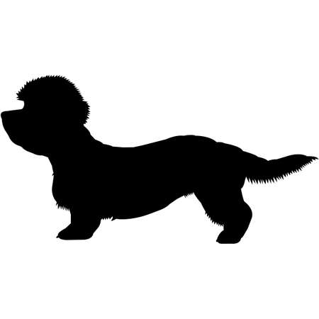 Dandie Dinmont Terrier  Silhouette Vectorのイラスト素材