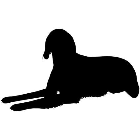 Irish Red & White Setter  Silhouette Vectorのイラスト素材