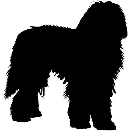 Bergamasco  Silhouette Vectorのイラスト素材