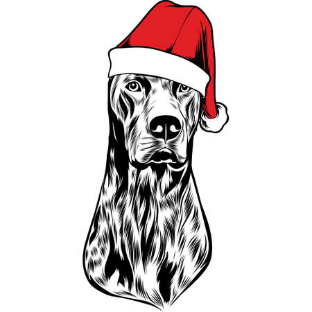 German SHorthair Pointer Dog in Santa Hat for Christmasのイラスト素材