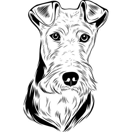 fox terrier wire - Black and White Potrait of Dog - breed face head isolated on whiteのイラスト素材