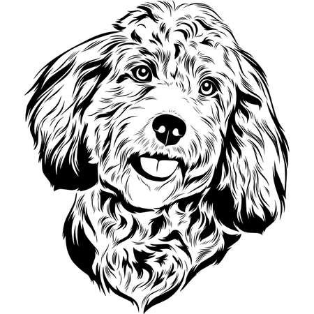 Cockapoo Dog Head Potrait Vector on a White Backgroundのイラスト素材