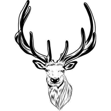 Elk - Black and White Potrait  -  face head isolated on whiteのイラスト素材
